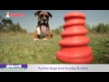 Toys for dogs - Treat Dispensing Toys by Chomper