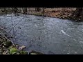 River Waves Relaxation | Soothing Water floating along | White Noise for Sleep