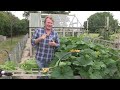 How to grow pumpkins with David Domoney