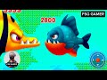 Fishdomdom Ads new trailer 4.4 update Gameplay   hungry fish video