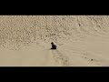 Te Paki Giant Sand Dunes New Zealand
