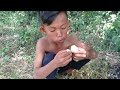 Two Young Boy Cooking Eggs Eating In Forest - Delicious