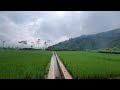 Heavy Rain in Rural Indonesia||Time to Get Rid of Stress and Insomnia||Asmr Rain
