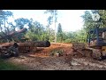 The importance of teamwork. Loader and bulldozer work together to load wood in a muddy place.