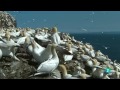 Grandes Documentales-El salvaje Mar del Norte