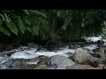 Flowing Water Sound for relaxation