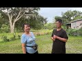 HMONG LIFE IN FLORIDA 2023: Part1 Let Us Go See Chue Houa Xiong & May Xiong’s Beautiful Farm July 7