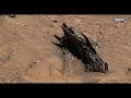 NASA's Mars Rover Perseverance Capture Most Fascinating Video Footage of Mars Life -Curiosity Images