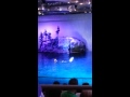 Water Show at Shedd Aquarium CHICAGO, Illinois =)