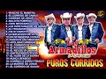 Los Armadillos De La Sierra Corridos Perrones Mix 2023