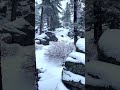 Heavy Snowstorm White Noise & Fresh Snow