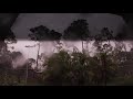 thunderstorm Port Saint Lucie Florida September 10 2021 HD wet footage