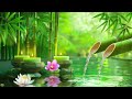 Relaxing Piano Music Bamboo Water Fountain, Sleep Music,Relaxing Music,Meditation Music, Water Sound