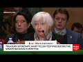 WATCH: Hagerty Doesn't Hold Back On Sec. Yellen For Leaks That 'Target People For Voting For Trump'