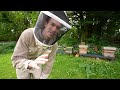 Spring beekeeping - swarming honeybees, expanding colony numbers, honey production and re-queening