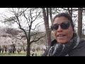 VLOG :  Le printemps à Toronto ! 🌸