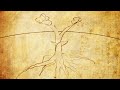 WeForest - Lessons from a tree - narrated by Jeremy Irons