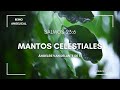 MANTOS CELESTIALES #testimoniodeangeles #angelesvandelantedemi #raquelmartina #reinoangelical