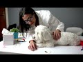 5 Things You Must Never Do to Your Maltese Dog