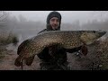 Pike Fishing with Dead Baits  (Gravel Pit Monster!🐊)