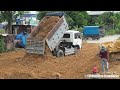 EP4 Wonderful Processing Filling Land By Dozer KOMATSU D51PX & Truck 5T Spreading Stone Into Water