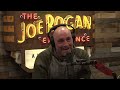 JRE: Aliens Interfering With Human Evolution!
