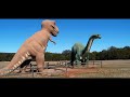 Dinosaur Valley State Park Texas - Walk in their 113 Million Year Old Tracks  - Travels With Phil