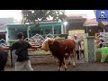 WoW ( SAPI QURBAN SUDAH DATANG).               di (masjid Nurul falah)