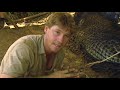 Steve Irwin's Biggest Crocodile Battles (Wildlife Documentary) | Real Wild
