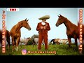 🔥MIX VICENTE FERNANDEZ🔥 CORRIDOS DE CABALLOS 🏇 🐎 🐴