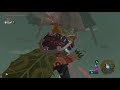 How to get the glitched treasure chest at Rassla Lake in Zelda Breath of the Wild