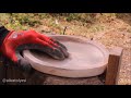 Adım Adım Tornasız Ahşap Tabak Yapımı / Making Wooden Plate Step by Step without Lathe