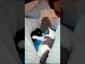 萌小猫,冰雪姐妹|cute  kitty,Schnee vs Eis😸