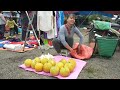 Harvesting Grapefruit 'DIEN' & Tomato Goes To Market Sell - Animal Care | New Free Bushcraft