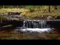 Colorado Mountain Stream 1 Hour Long