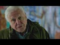 What is biodiversity? | David Attenborough: A Life On Our Planet