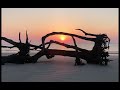 Driftwood Beach at Sunrise