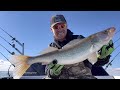 How To Fish For Walleye In Saginaw Bay On Lake Huron! Mike Martin Outdoors + Bandit Lures + Runcl!