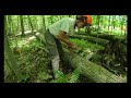 EARL’S FIRST TIME SKIDDING LOGS // Getting Firewood for the Farm!  #655