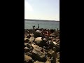 Inukshuk stacking in Stanley Park Seawall