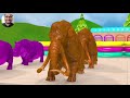 Long Slide Game With Elephant Gorilla Buffalo Hippopotamus Tiger - 3d Animal Game - Funny 3d Animals