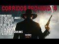 Corridos Prohibidos - Cadetes / Ramon Ayala / Eliseo / Los Palominos / Terribles / Muchos Mas!