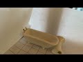 Earthquake in a bathroom