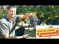 How to Prune and Grow Grapes ; A Complete Garden Growing spur type guide