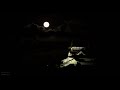 4K video + natural environmental sounds / gentle insect voices and full moon / and Inuyama Castle