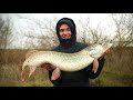 How To Catch Big River Pike - The Paternoster Rig