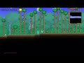 Terraria Part 2! Featuring Fewsgaming!