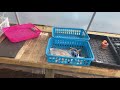 How to Build a Pallet Greenhouse for Your Garden - Looks Good/Functional/Almost FREE!