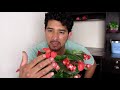 Como Cuidar una BEGONIA DRAGON | Begonias #47