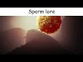 sperm lore